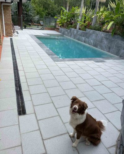 Dog sitting on light grey pavers beside a plunge pool with a strip drain