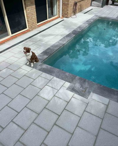Light grey pavers and dark coping around a rectangular pool, dog on the edge
